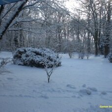 Garten in Schnee